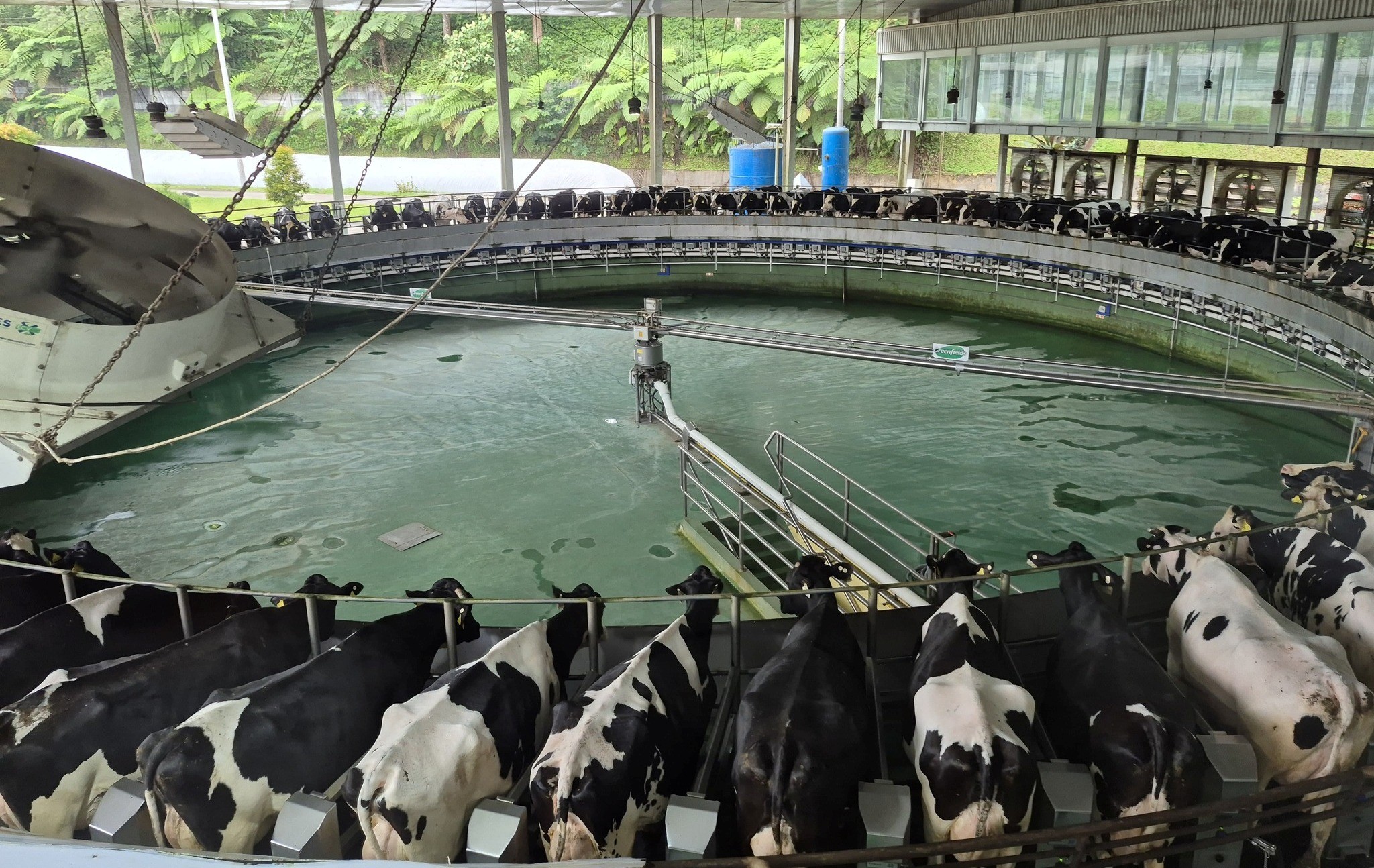 Kementan Dorong Swasta Perkuat Industri Susu Nasional